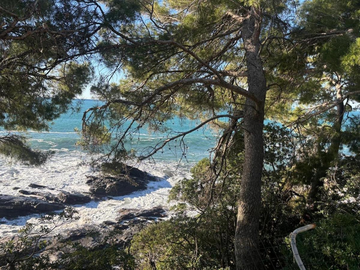 Appartamento Finestra Sul Mare - A Window On The Sea - Nervi - *