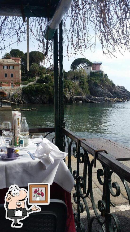 Finestra Sul Mare - A Window On The Sea - Nervi - Appartamento