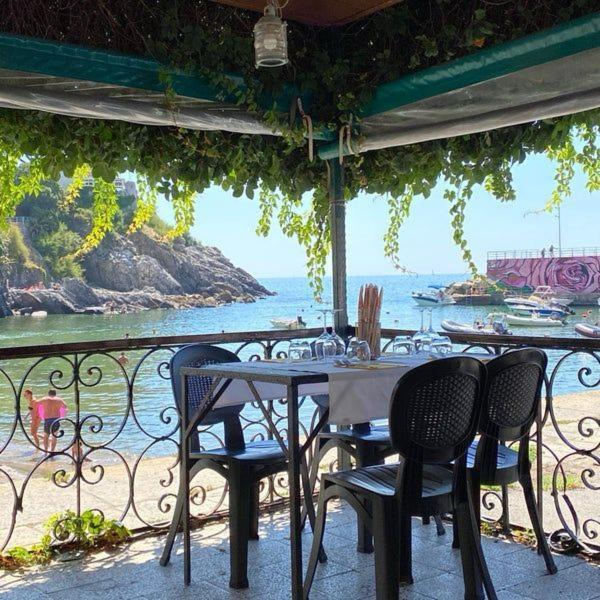 Appartement Finestra Sul Mare - A Window On The Sea - Nervi - *